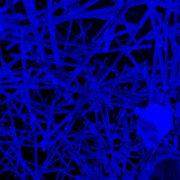 Spatial Aggregations Pavillion